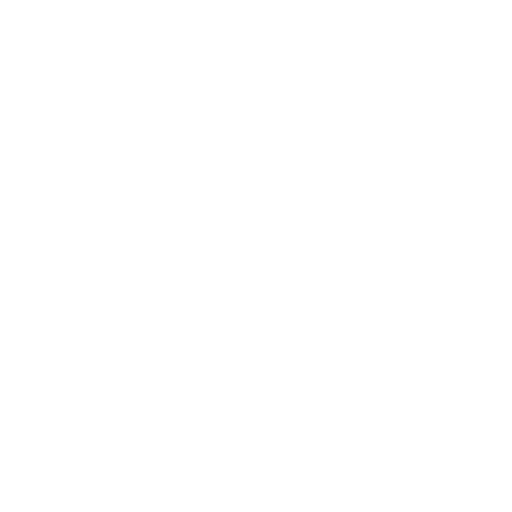 Servicii Wordpress